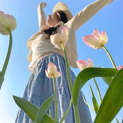 黄叶舞青风
